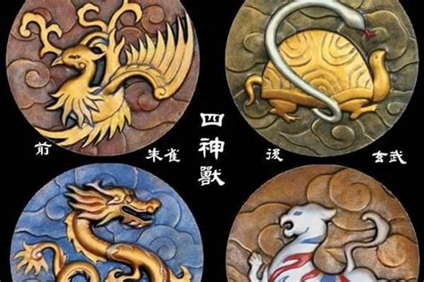 青龍 白虎 朱雀 玄武|四大神獸(四神獸):起源,青龍,來歷,地名,年號,區別,白虎,來歷,象徵,。